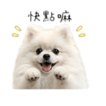 887574427
