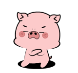 887625464