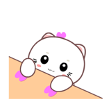 887628006