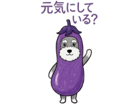 887645851