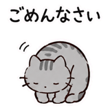 887651062