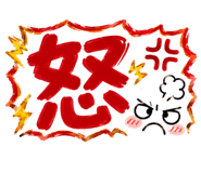 887673081