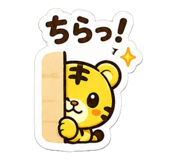 887676855