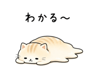 887688998