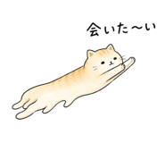 887689003