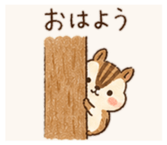 887703637