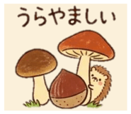 887707134