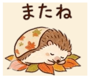 887707597