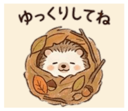 887707735