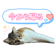 887711328
