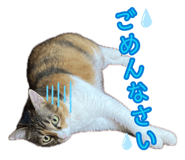 887711333