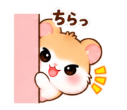 887712017