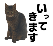 887713099
