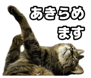 887713111
