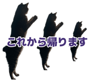 887713113