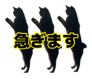 887713114