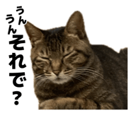 887713125