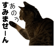 887713129