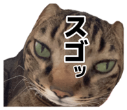 887713130