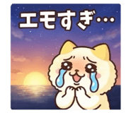 887713541