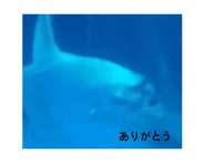 887717467