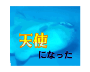 887717468