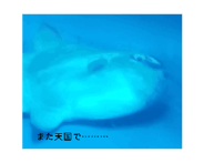 887717479