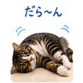887717488