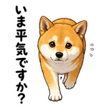 887717764