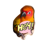 887768160