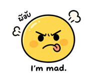 887771553