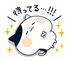 8877902