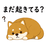 887873204