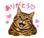 887888630
