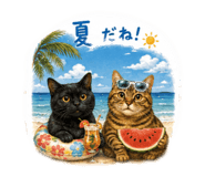 887888642