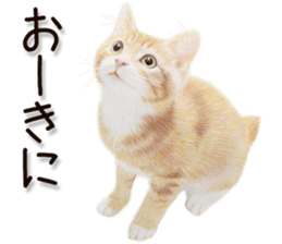 8878980