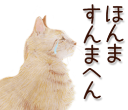 8878983