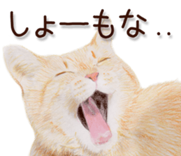 8879005