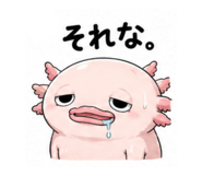 887941515