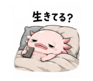 887941516