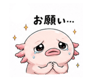 887941522