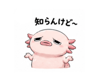 887941524