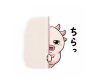 887941530