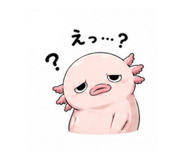 887941533