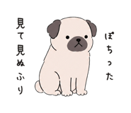 887972354