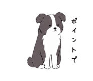 887972376