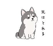 887972377
