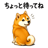 887976700