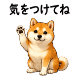 887976714