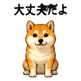 887976715